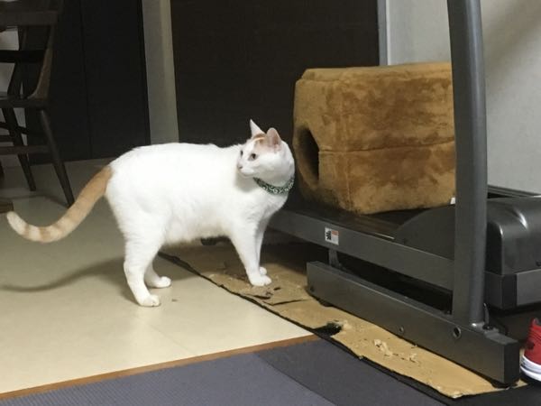 rblog-20181122063323-03.jpg