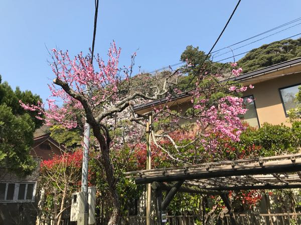 rblog-20180329182338-01.jpg