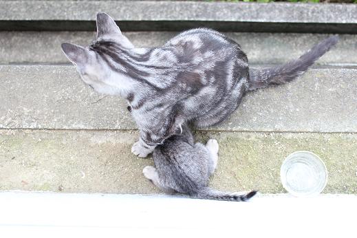 IMG_2695 - コピー.JPG