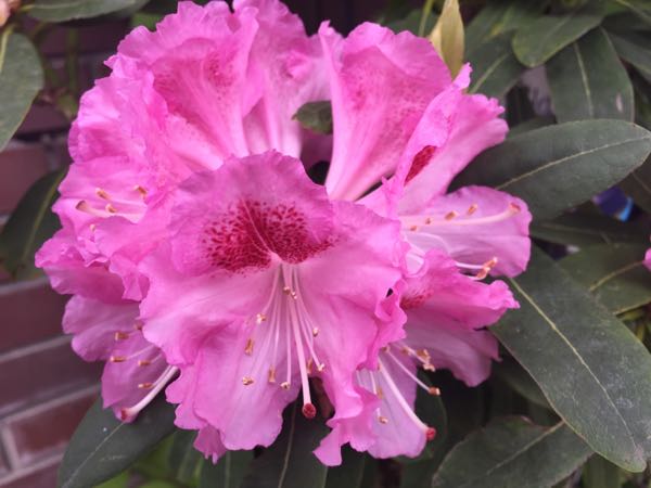 rblog-20160427174445-00.jpg