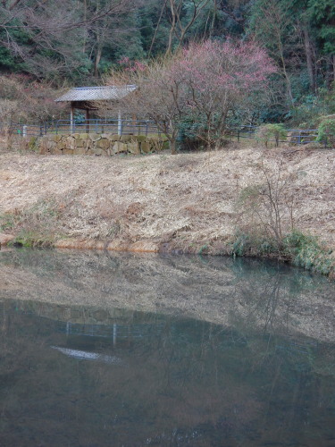 DSCN0035b20160131.jpg
