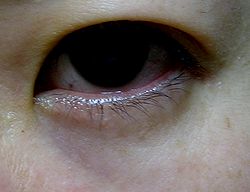 IMG_5593.JPG