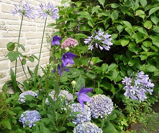 P1040897-ass.jpg