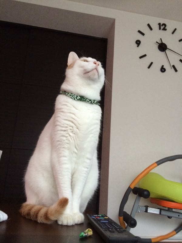 rblog-20150612061446-06.jpg