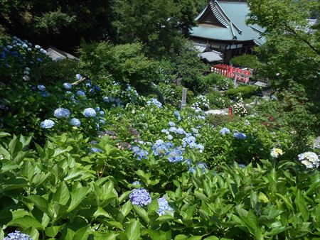 花の寺　本勝寺