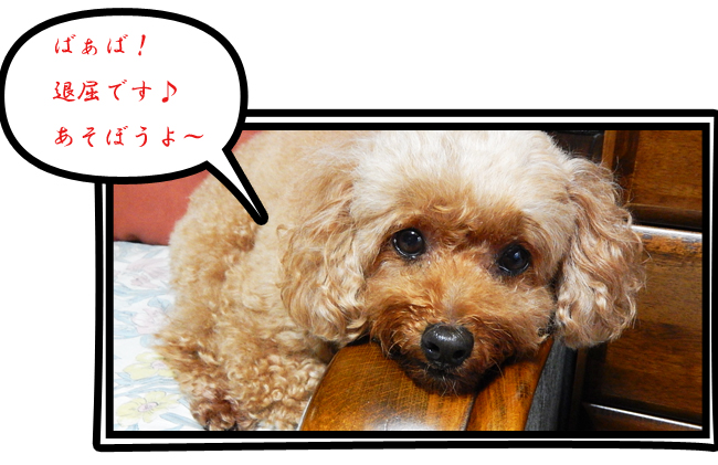 こころ１４