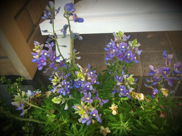 rblog-20160426175049-03.jpg