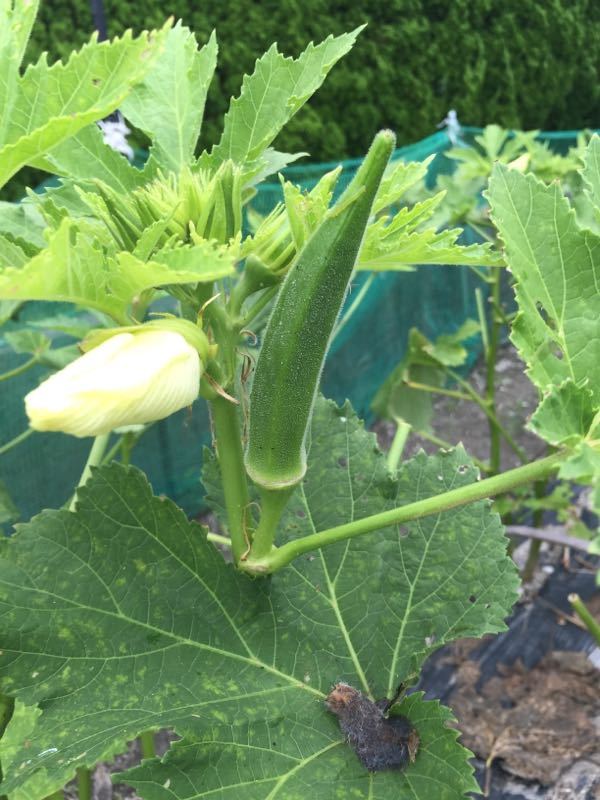 rblog-20150727072813-04.jpg