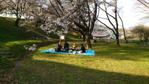 rblog-20140412215934-01.jpg