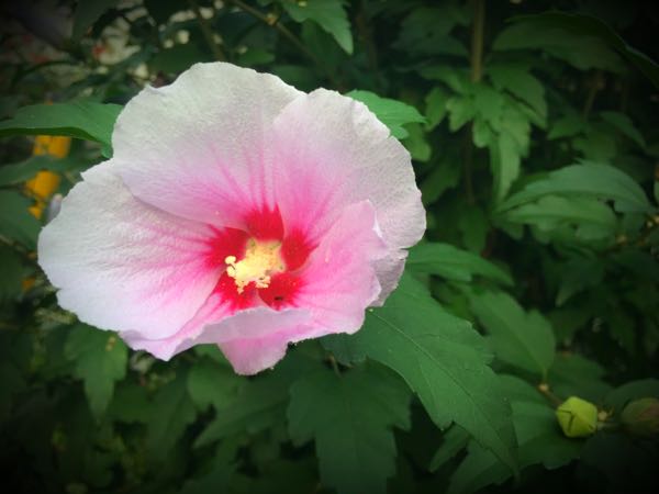 rblog-20160725204340-08.jpg