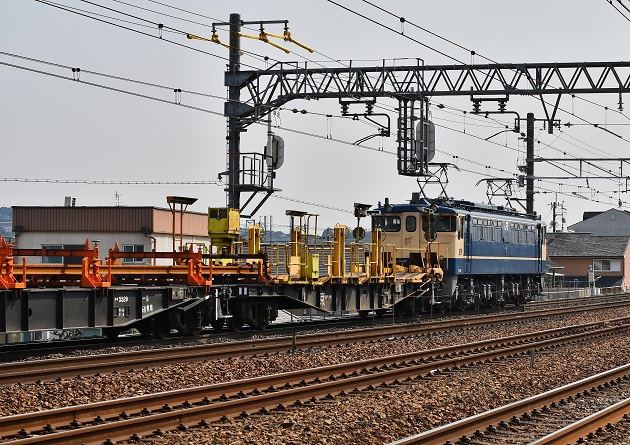 DSC_0677.JPG