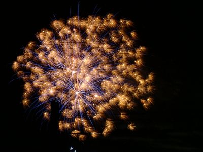 P8020178.jpg