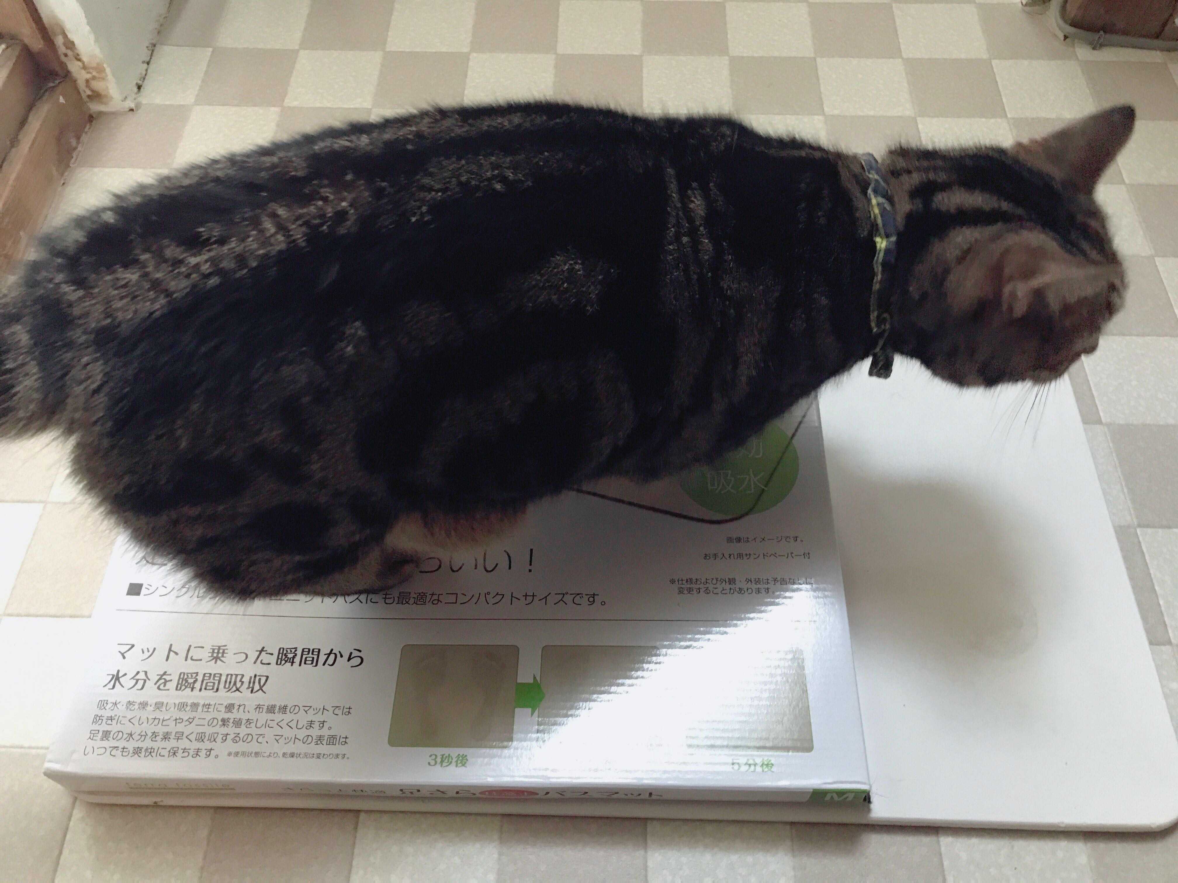 愛用品 の記事一覧 シンプルに生活するブログ 楽天ブログ