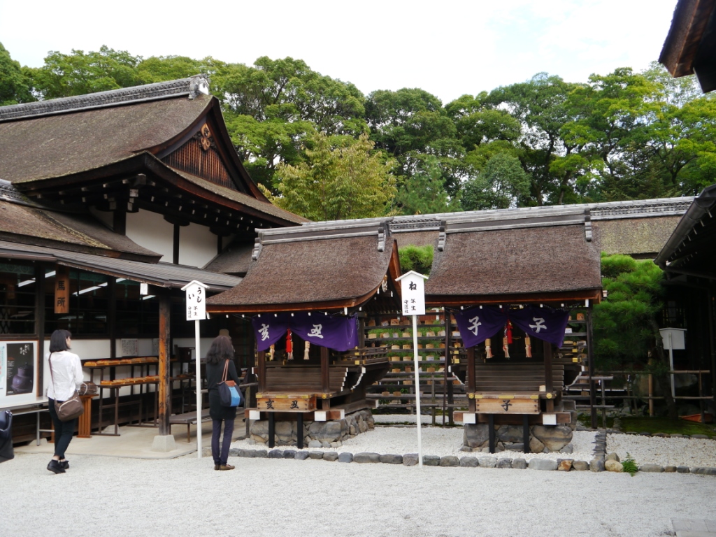 P1090089.JPG