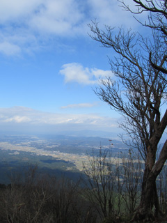 1119_8117.jpg