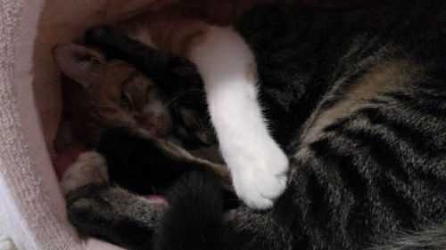 rblog-20190102160605-03.jpg