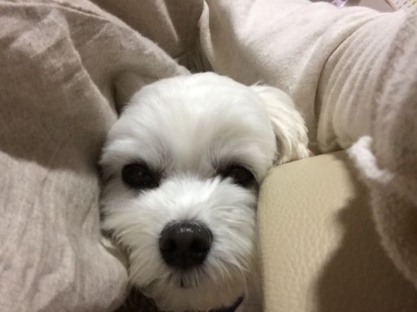 rblog-20161119114444-01.jpg