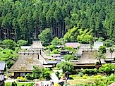 IMG_2618.JPG