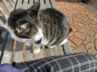 IMG_5734ss.jpg
