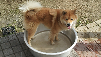 rblog-20140120142656-00.png