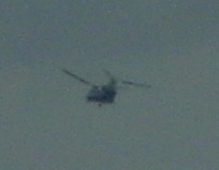 0829軍用機.JPG