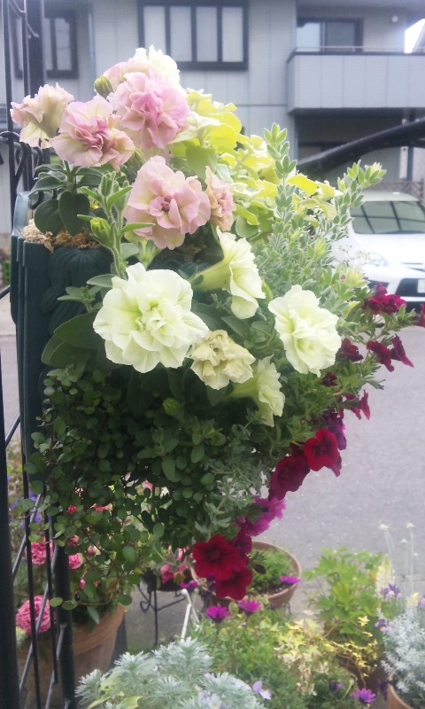 150518_1736~01.jpg