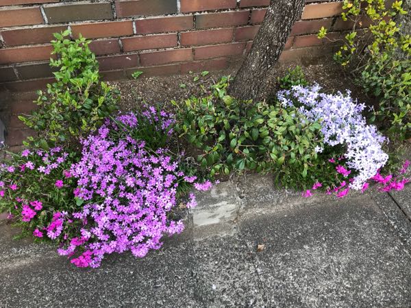 rblog-20180408180306-00.jpg