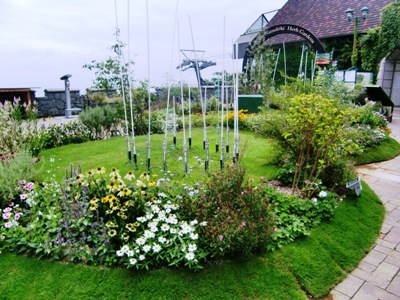 CIMG0099.JPG