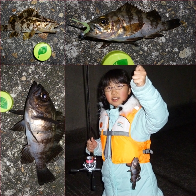 ゆきっぺメバル