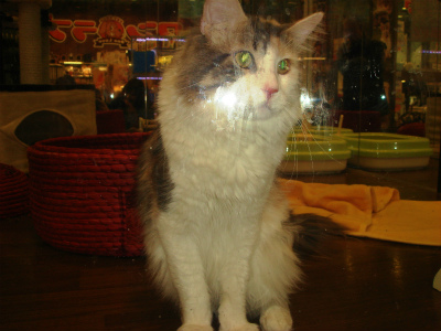 DSC08886.jpg