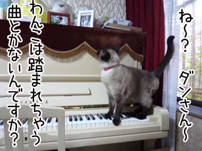 ピアノ６.JPG