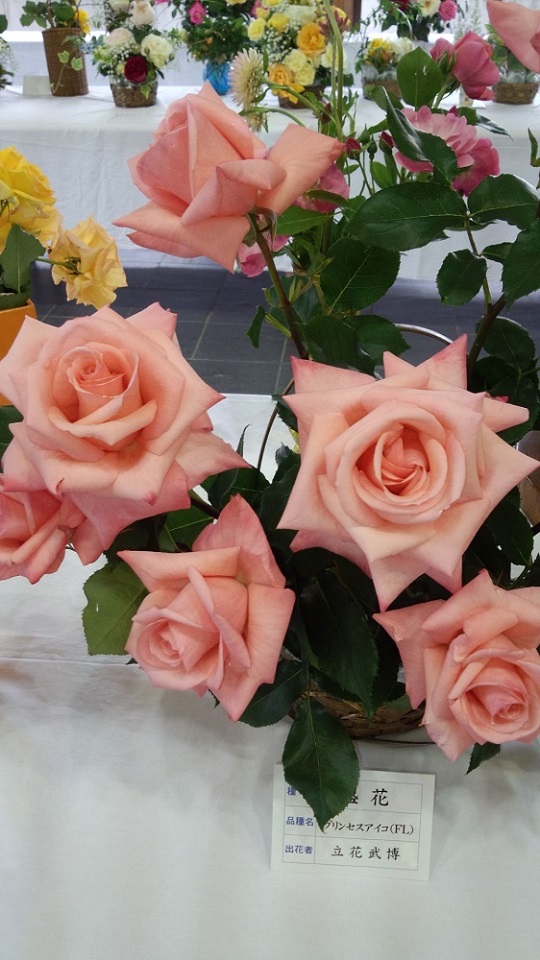 IMG_20130511_160937.jpg