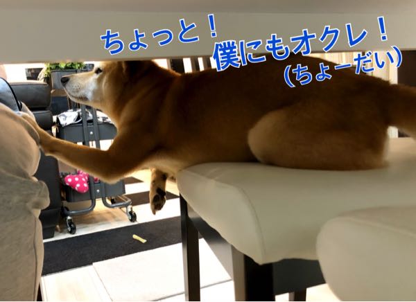 rblog-20171207090028-04.jpg