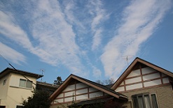 IMG_2120-21.jpg