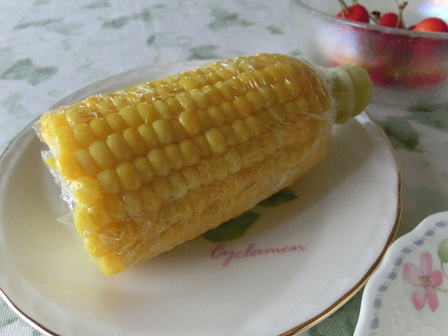 Y家
