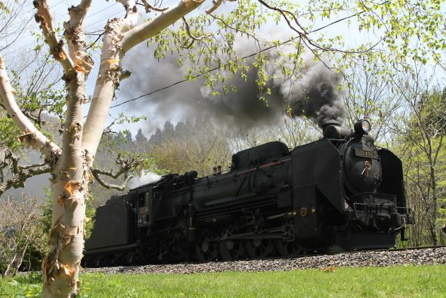 釜石の春 .白樺 とD51の現役時代風2