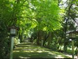 山へ～白山そば街道 (7)