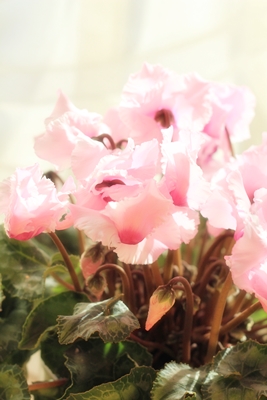 20130119-1.JPG