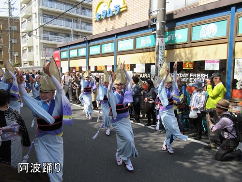 馬込文士村大桜まつり