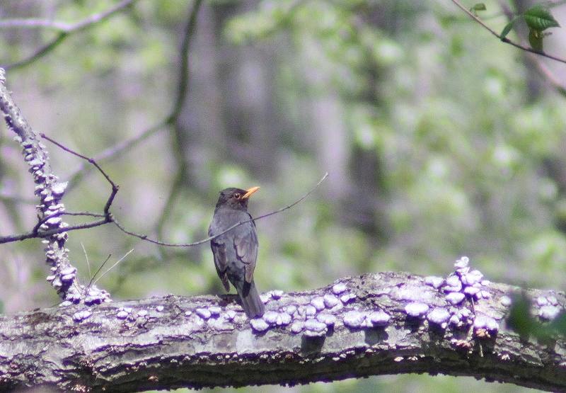 IMG_8199 (800x555).jpg