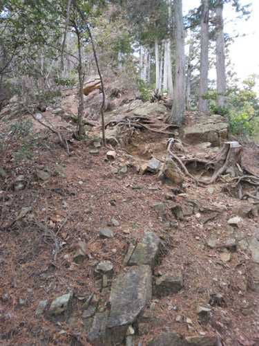 リハビリ登山は奥武蔵越生町の越上山(おがみやま)566m | やっぱり山と花が好き - 楽天ブログ