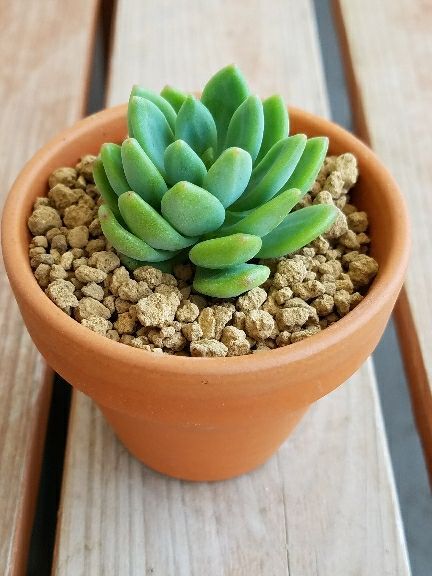 rblog-20180430124221-06.jpg