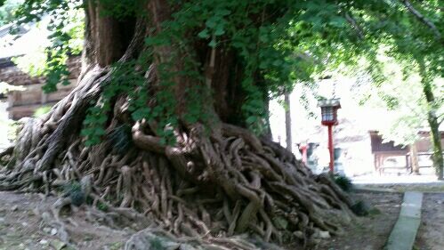 rblog-20160724070154-01.jpg