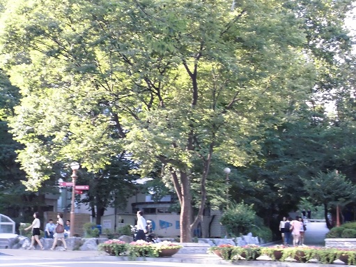 CIMG0061.JPG