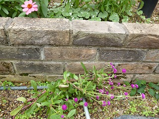 P1250214ss.jpg