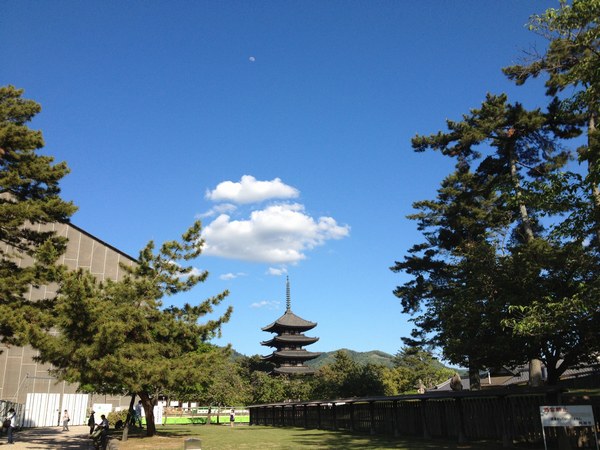 4興福寺　行き裏１　600.jpg
