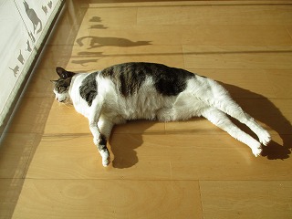 IMG_4803ss.jpg