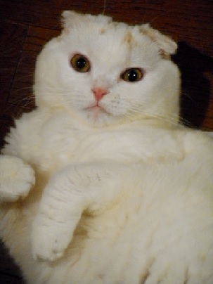koyu0913.jpg