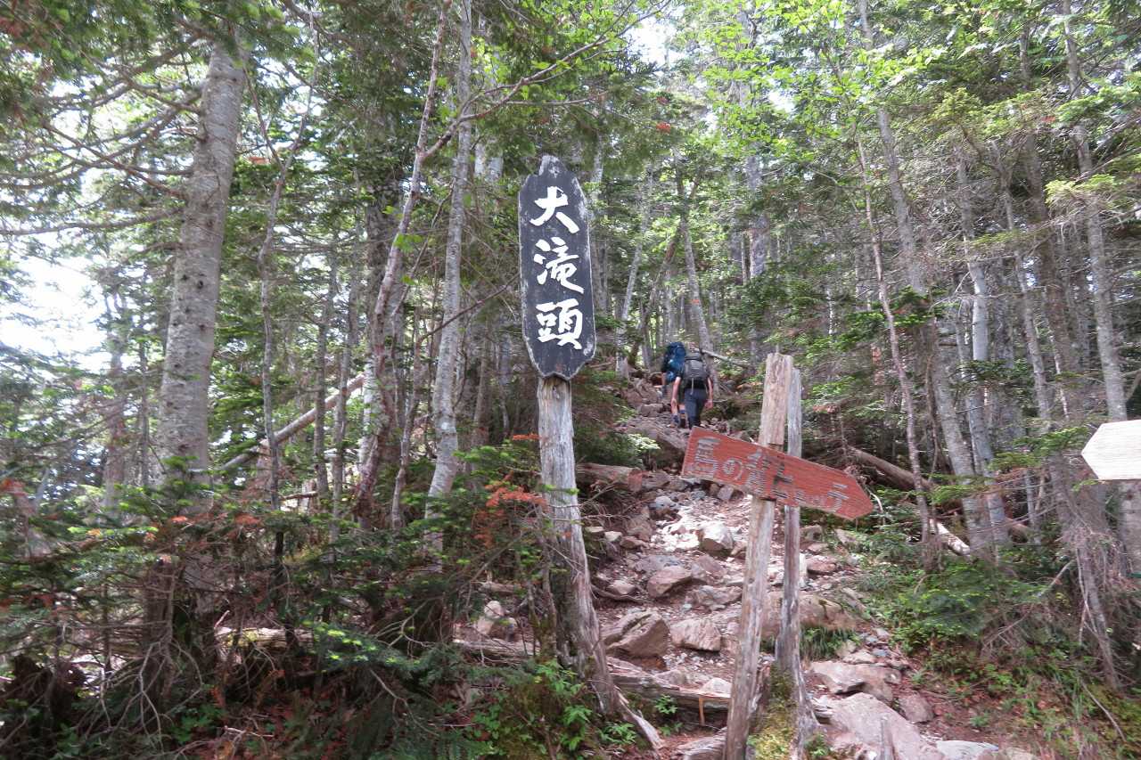 仙丈ケ岳登山(山梨県/長野県） | ぶらぶら自然散歩2 - 楽天ブログ