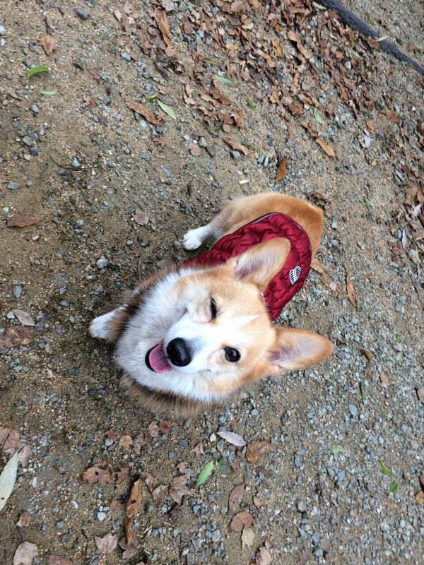 rblog-20160213013047-04.jpg